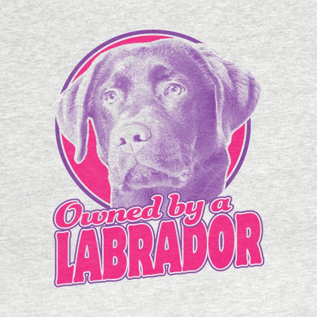 Owned By A Labrador by veerkun